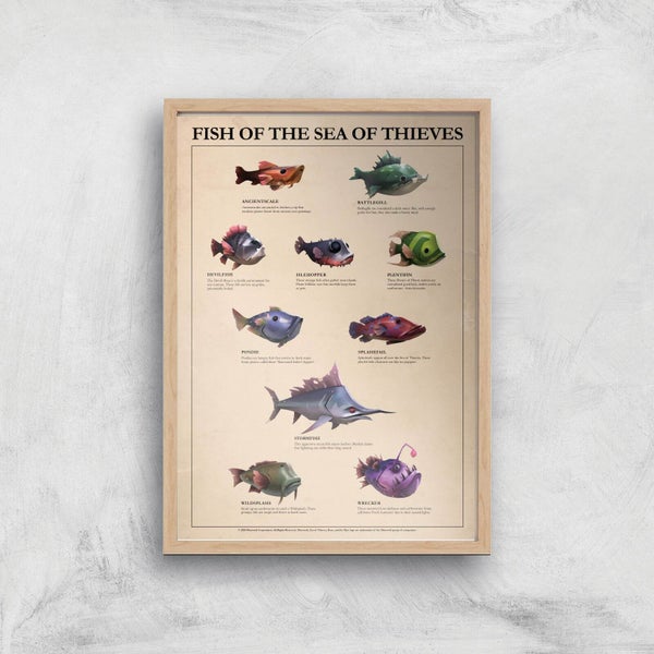 Fish Of The Sea Of Thieves Giclee Art Print - A2 - Wooden Frame