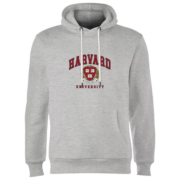 Harvard Hoodie - Grey
