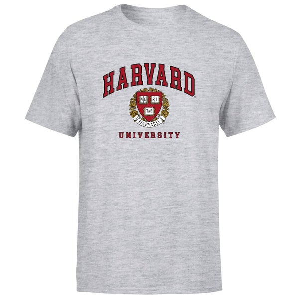 Harvard Gray Tee Men's T-Shirt - Grey
