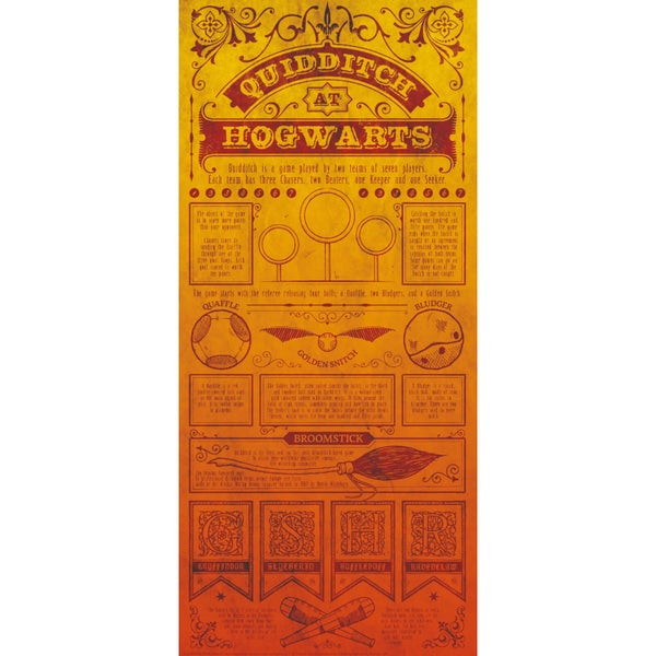 Harry Potter - Impression d'art prémium Édition Limitée : Règles de Quidditch