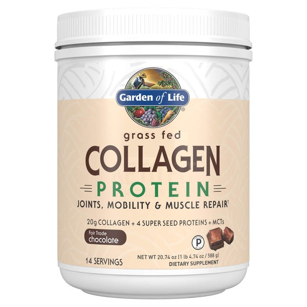 Collagen Protein 膠原蛋白蛋白粉－巧克力－588公克