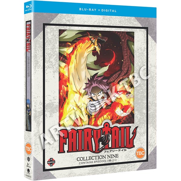Fairy Tail : Collection 9 (Épisodes 188-212)