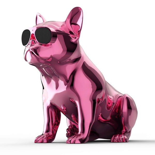 JARRE AeroBull HD1 - Haut Parleur Sans fil Chrome Rose