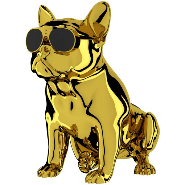JARRE AeroBull XS1 - Limited Edition Chrome Gold Duo
