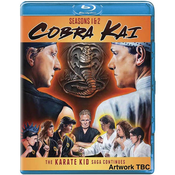 Cobra Kai - Staffeln 1-2