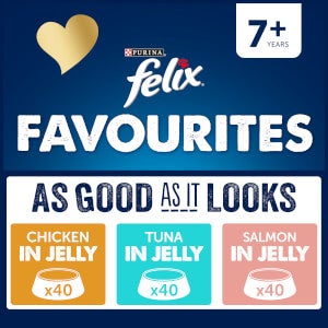 Felix Favourites Pre-Mixed Bundle Senior Wet Cat Food 120x100g