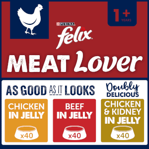 Felix Pre-Mixed Bundle Adult Wet Cat Food Meat Lover 120x100g