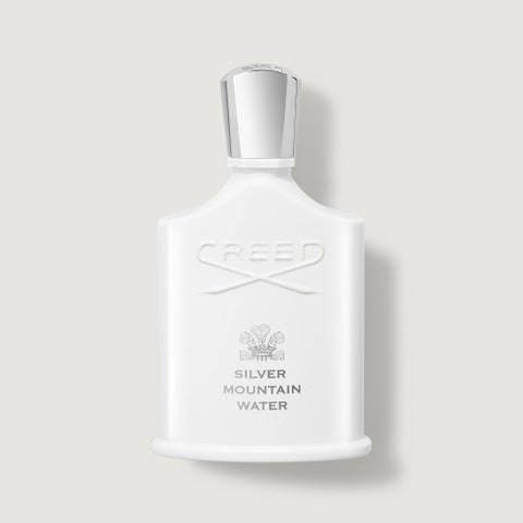 Silver Mountain Water 100ml