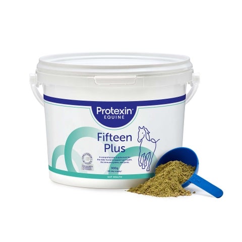 Fifteen Plus 900g