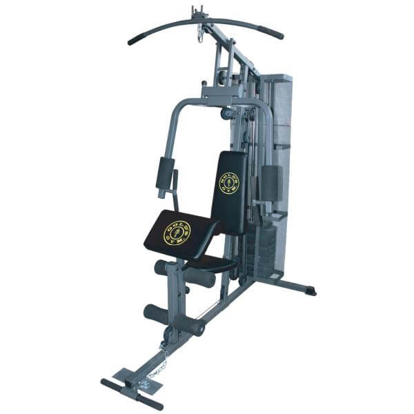 Gold's gym multi sale gym