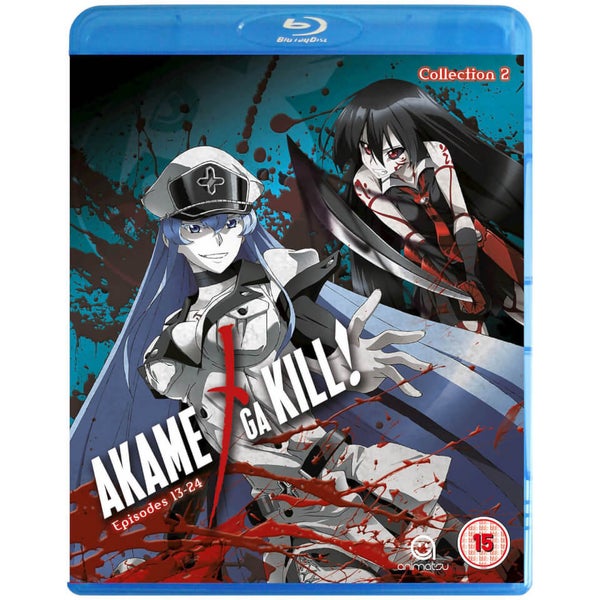 Akame Ga Kill Temporada 2 Episodios 13 A 24 [DVD] 8420266015112