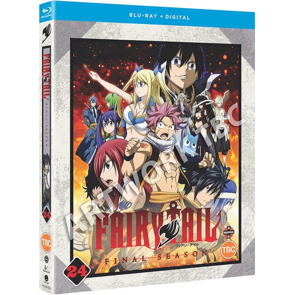 Fairy Tail: The Final Season: Part 24 (Episodes 291-303) | Pop In A Box UK