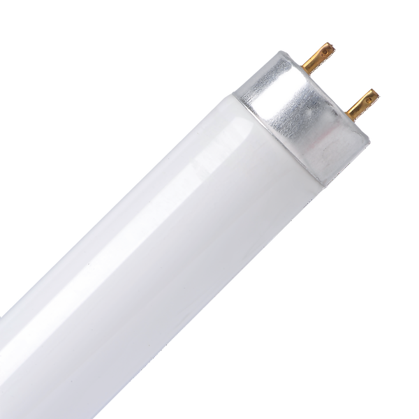 5ft fluorescent deals tube homebase
