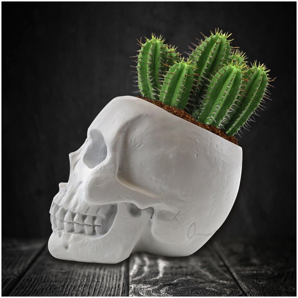 Skull Planter and Cactus Kit