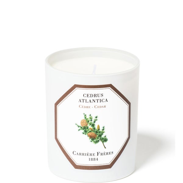 Carrière Frères Scented Candle Cedar - Cedrus Atlantica - 6.5 oz
