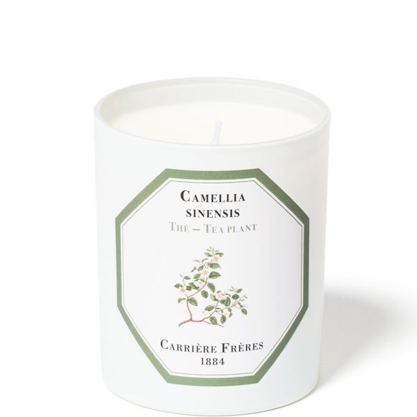 Carrière Frères Scented Candle Tea Plant - Camellia Sinensis - 185 g