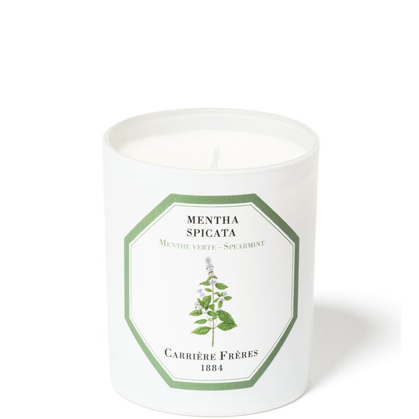 Carrière Frères Scented Candle Spearmint - Mentha Spicata - 6.5 oz