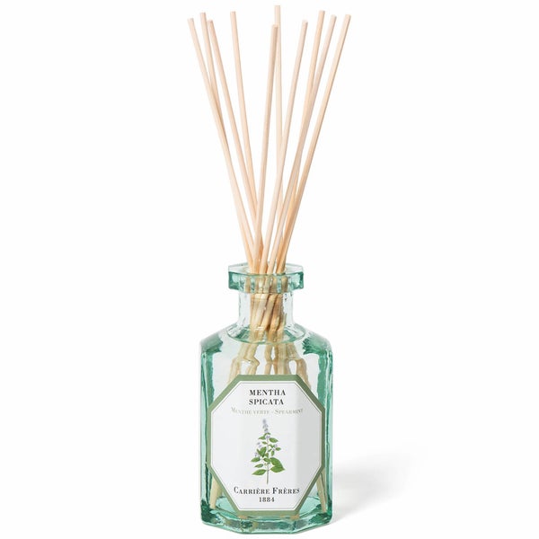 Carrière Frères Diffuser Spearmint - Mentha Spicata - 6.7 fl. oz