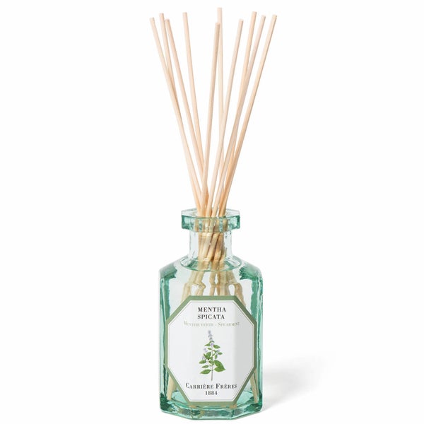 Carrière Frères Diffuser Spearmint - Mentha Spicata - 200 ml