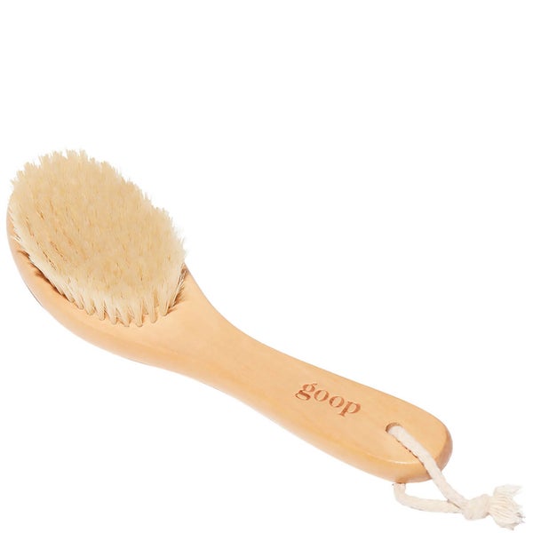 goop G.Tox Ultimate Dry Brush