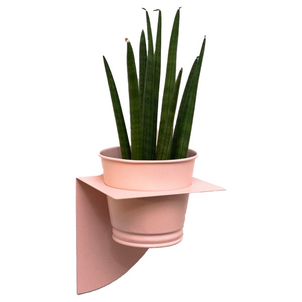 Peg & Board Arc Planter & Pot - Blush Pink