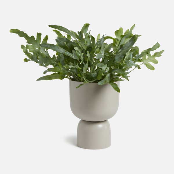 ïn home Clover Urn Vase - Light Grey