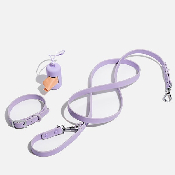 Wild One Dog Collar Walk Kit - Lilac