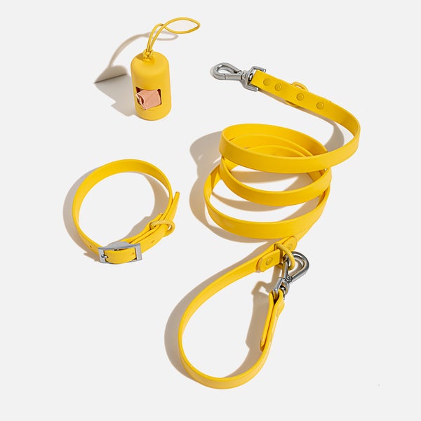 Wild One Dog Collar Walk Kit - Butter Yellow