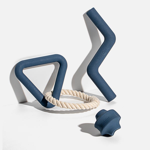 Wild One Dog Toy Kit - Navy