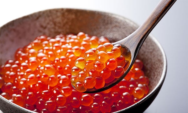 5 Marine Ingredients That Promise to Restore Youth
