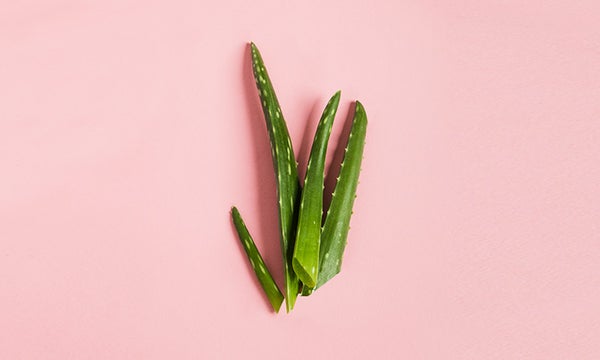 More Than Just a Juice Craze: What Aloe Vera Can Do for Your Skin and Hair