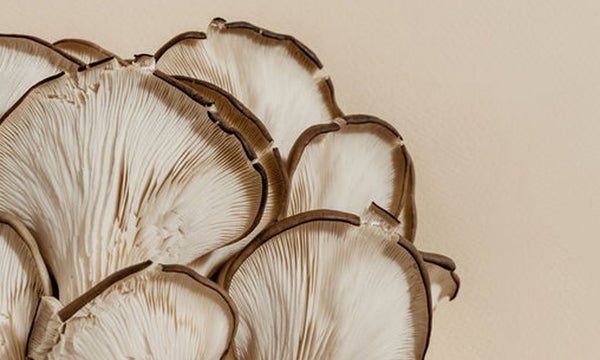 Why Mushroom Should Be Your New Favorite Skin Care Ingredient