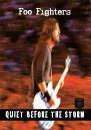 Foo Fighters - Quiet Before The Storm