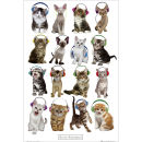 Keith Kimberlin Kittens Headphones - Maxi Poster - 61 x 91.5cm