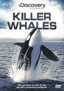 Killer Whales