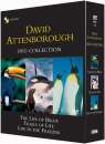 David Attenborough - DVD Collection Volume 1