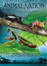Animal Nation - Worlds Biggest Baddest Bugs