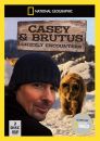 National Geographic: Casey and Brutus - Grizzly Encounters aka Expedition Wild