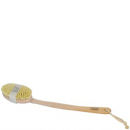 HYDREA LONDON BEECH WOOD BODY BRUSH WITH CACTUS FIBRE BRISTLES