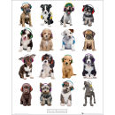 Keith Kimberlin Puppies Headphones - Mini Poster - 40 x 50cm