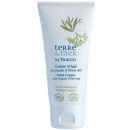 Terre & Mer by Thalgo Vital Cream with Organic Olive Leaf 50ml/1.69oz