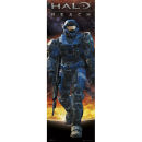 Halo Reach Carter - Door Poster - 53 x 158cm
