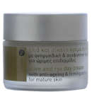 KORRES Olive & Rye Day Cream 40ml