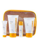 Dermalogica Skin Kit Daylight Defense