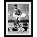 Muhammad Ali Training - 30x40 Collector Prints