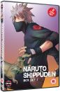 Naruto Shippuden Box Set 7 (Episodes 79-91)