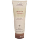Aveda Caribbean Therapy Body Cleanser