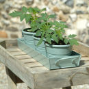 Garden Trading Herb Pots on a Tray - Shutter Blue