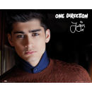 One Direction Zayn Landscape - Mini Poster - 40 x 50cm