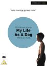 My Life As A Dog